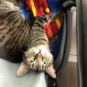 Meet your Posher, Erika